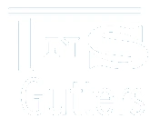 TNS Gutters